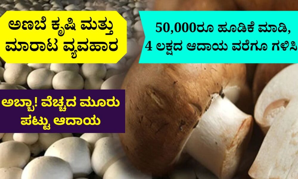 ಅಣಬೆ ಕೃಷಿ ಮತ್ತು ಮಾರಾಟ ವ್ಯವಹಾರ | Mushroom Cultivation and Sales Business in Kannada