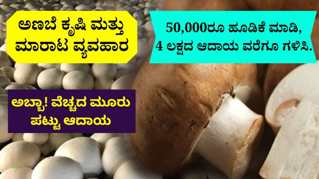 ಅಣಬೆ ಕೃಷಿ ಮತ್ತು ಮಾರಾಟ ವ್ಯವಹಾರ | Mushroom Cultivation and Sales Business in Kannada