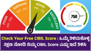 Check Your Free CIBIL Score