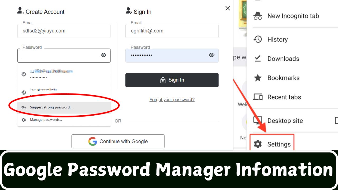 Google Password Manager Infomation