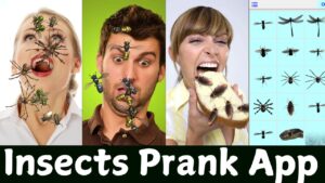 Insects Prank App