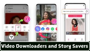 Video Downloaders and Story Savers