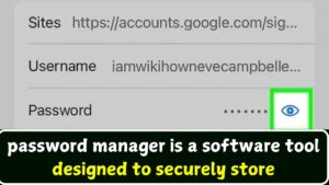 password manager is a software tool designed to securely store