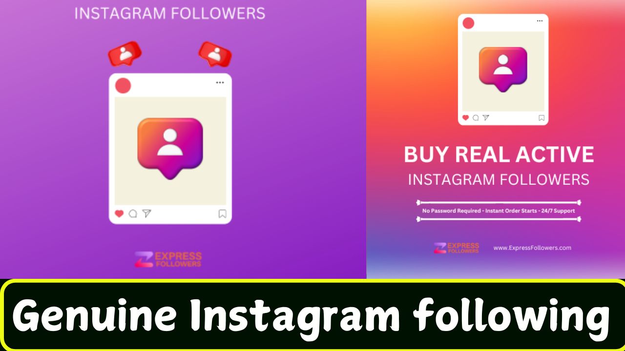 Genuine Instagram following