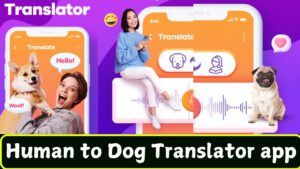 Human to Dog Translator