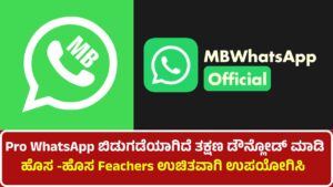 Introduction to MB WhatsApp