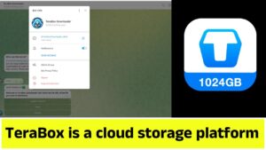 TeraBox is a cloud storage platform