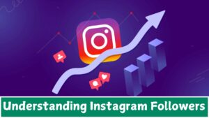 Understanding Instagram Followers