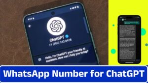 WhatsApp Number for ChatGPT