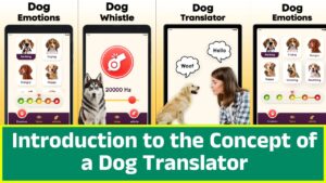 Introduction to the Concept of a Dog Translator