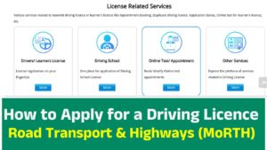 Apply for a Driving Licence