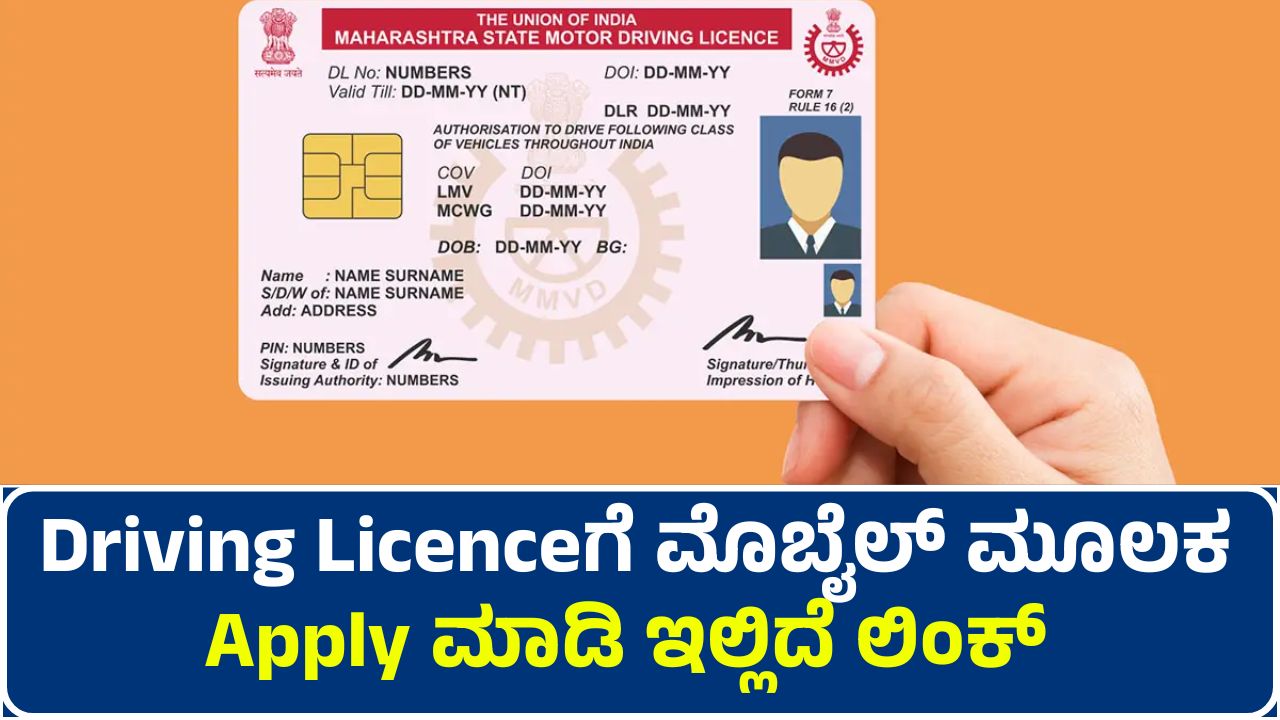 Driving Licence