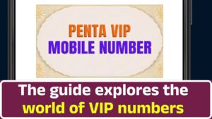 he guide explores the world of VIP numbers