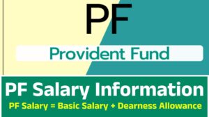 PF (Provident Fund) Salary Information