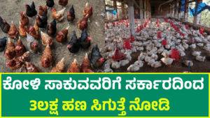 koli Poultry Farming Business