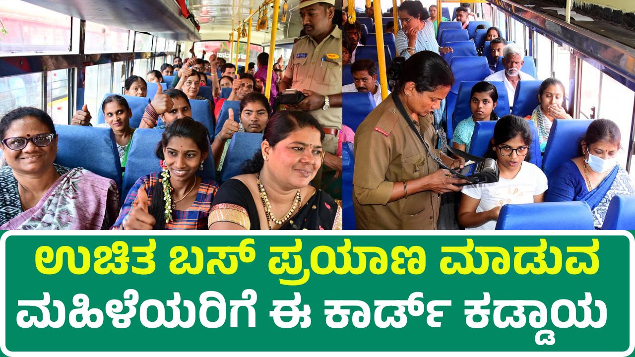 Free Bus Scheme