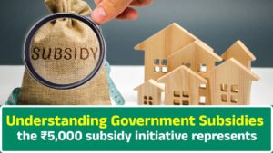 Understanding Government Subsidies