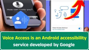App Voice Access
