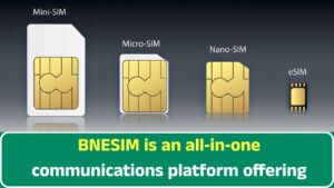 BNESIM