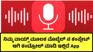 Voice Access
