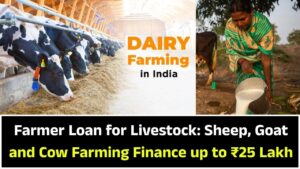 Farmer Loan