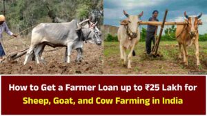 Farmer Loan