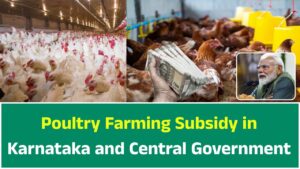 Poultry Farming Subsidy in Karnataka and Central Government