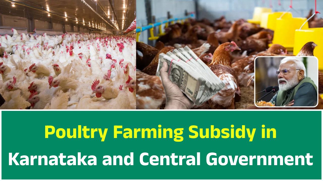 Poultry Farming Subsidy in Karnataka and Central Government
